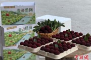 真人配对高速赋能产业升级：一条“杨梅路”的致富密码